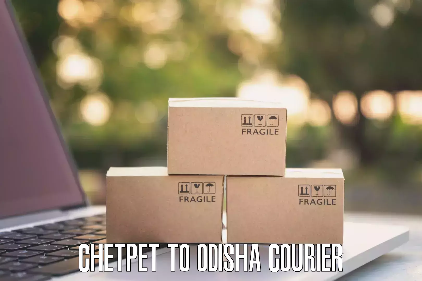 Custom courier packages Chetpet to Odisha