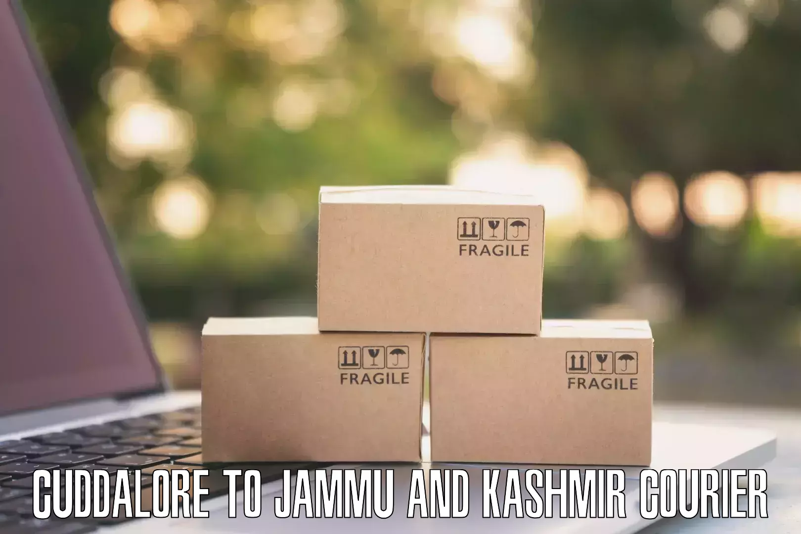 Versatile courier offerings Cuddalore to Jammu and Kashmir