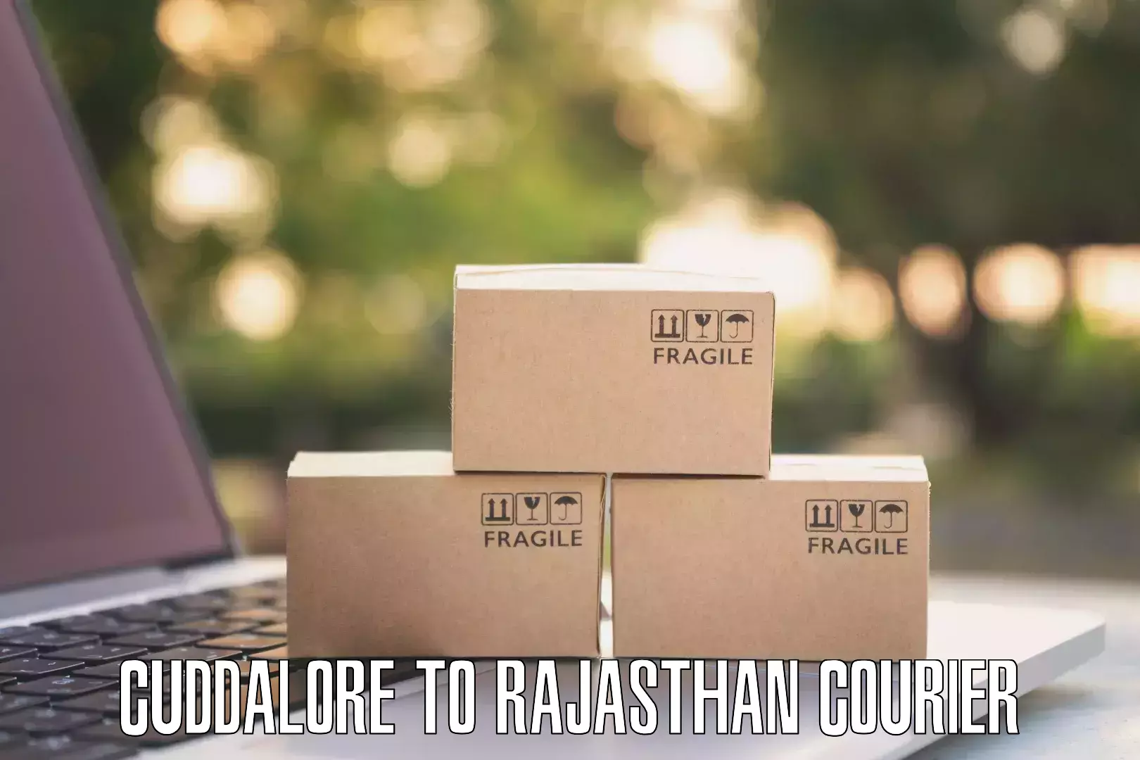 Efficient courier operations Cuddalore to Rawatbhata