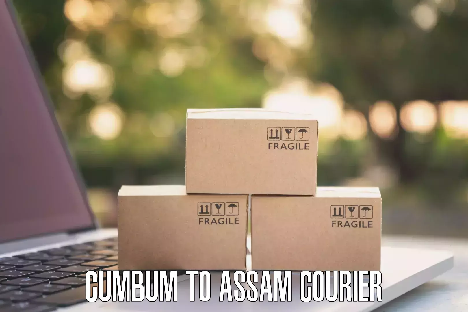 Sustainable shipping practices Cumbum to Assam