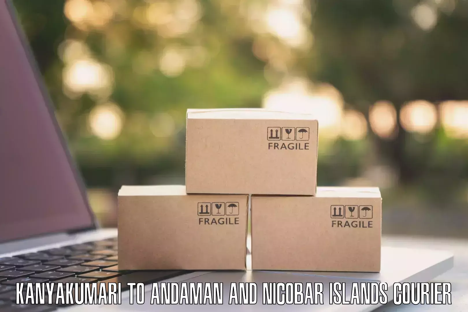 Lightweight parcel options Kanyakumari to Andaman and Nicobar Islands