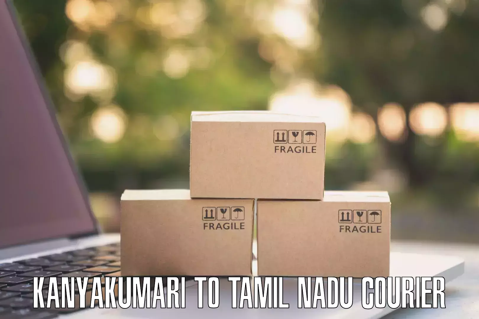 Reliable courier service Kanyakumari to Eraiyur