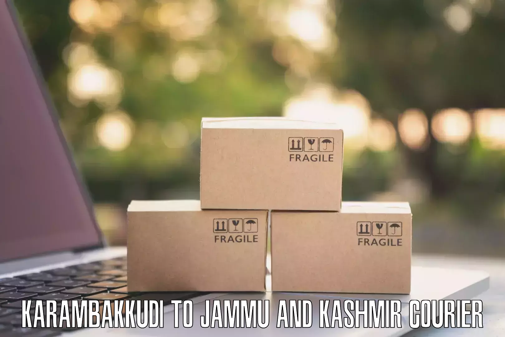 Modern delivery methods Karambakkudi to University of Jammu