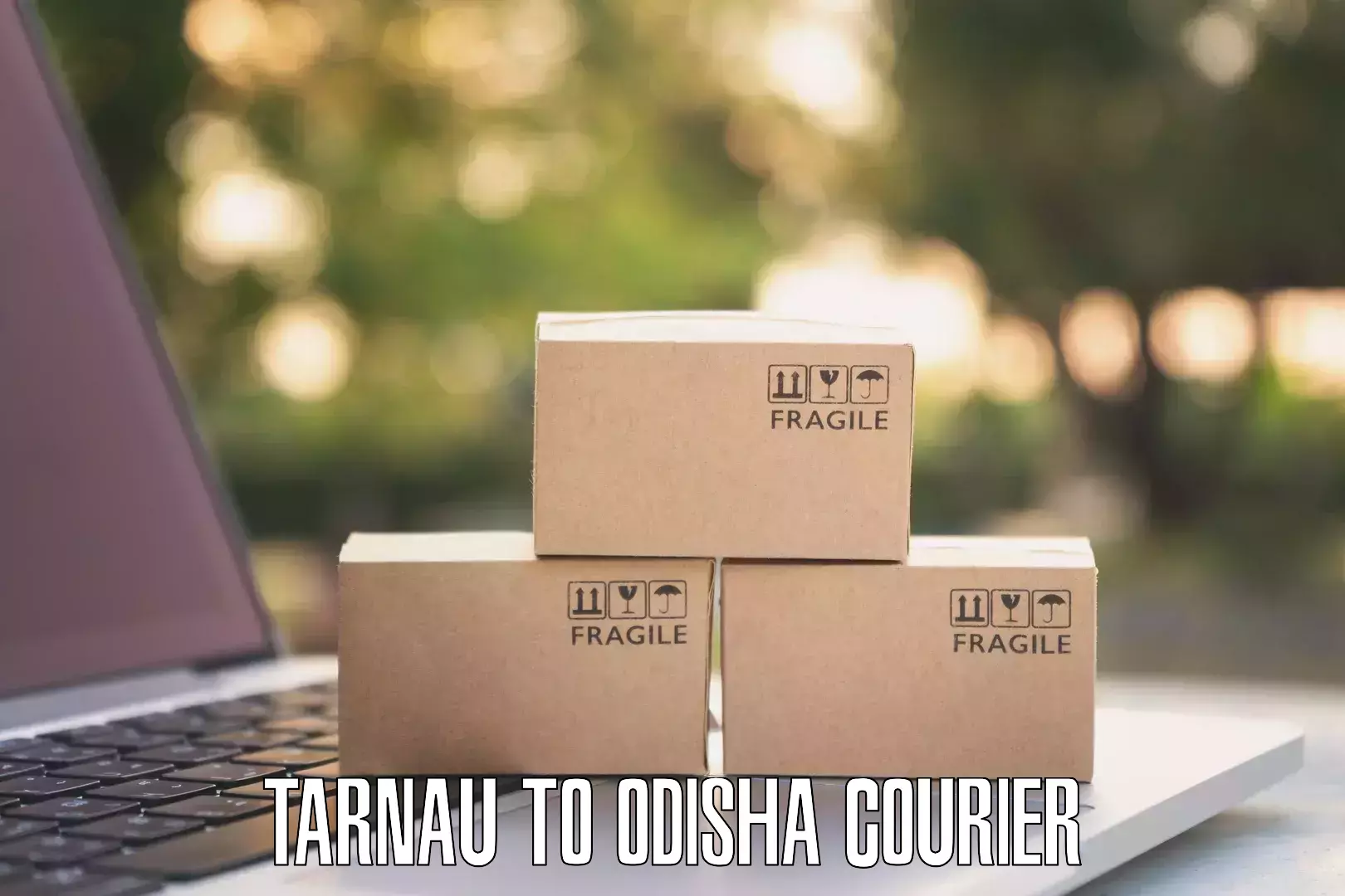 Large-scale shipping solutions Tarnau to Odisha