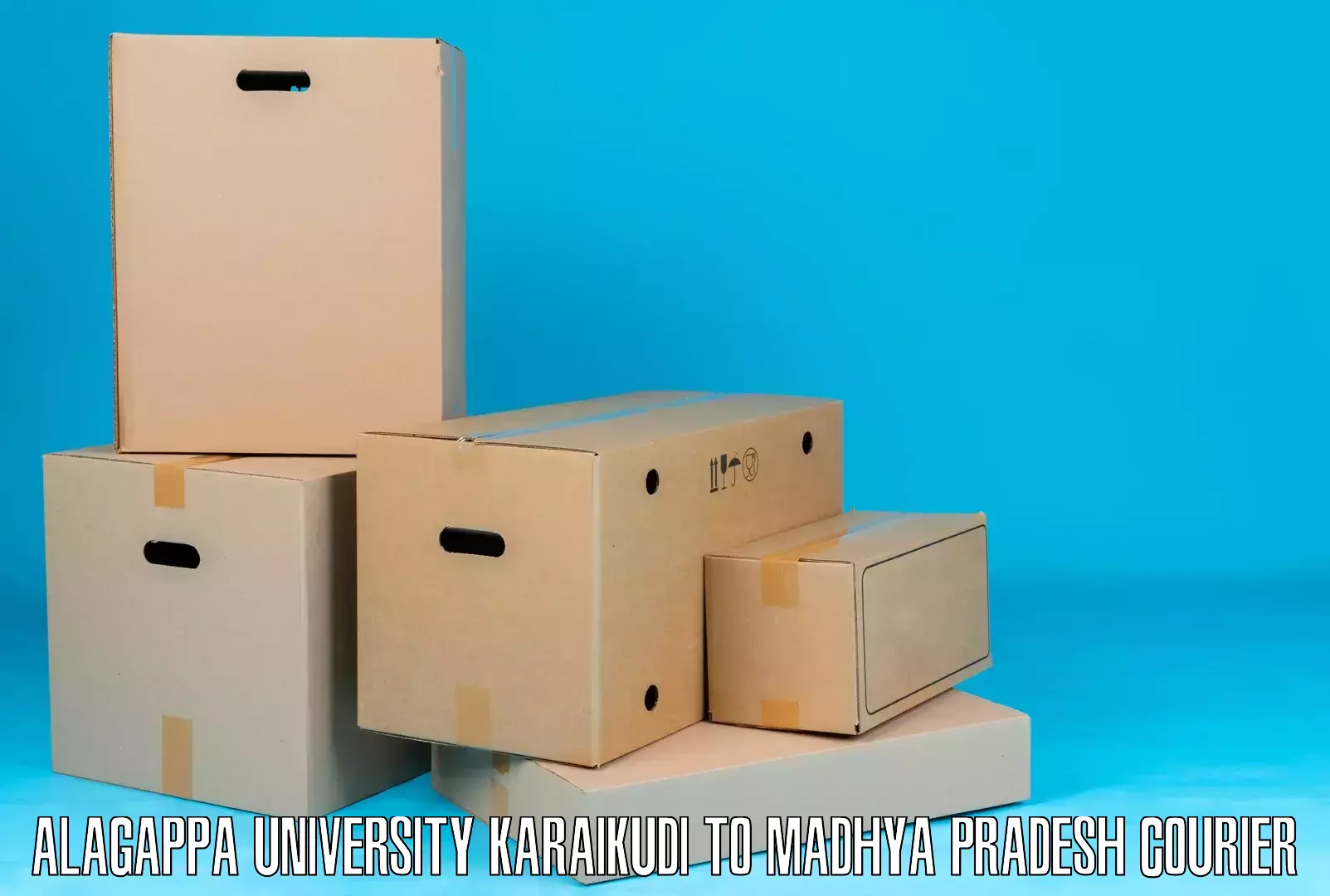 Flexible courier rates Alagappa University Karaikudi to Umaria