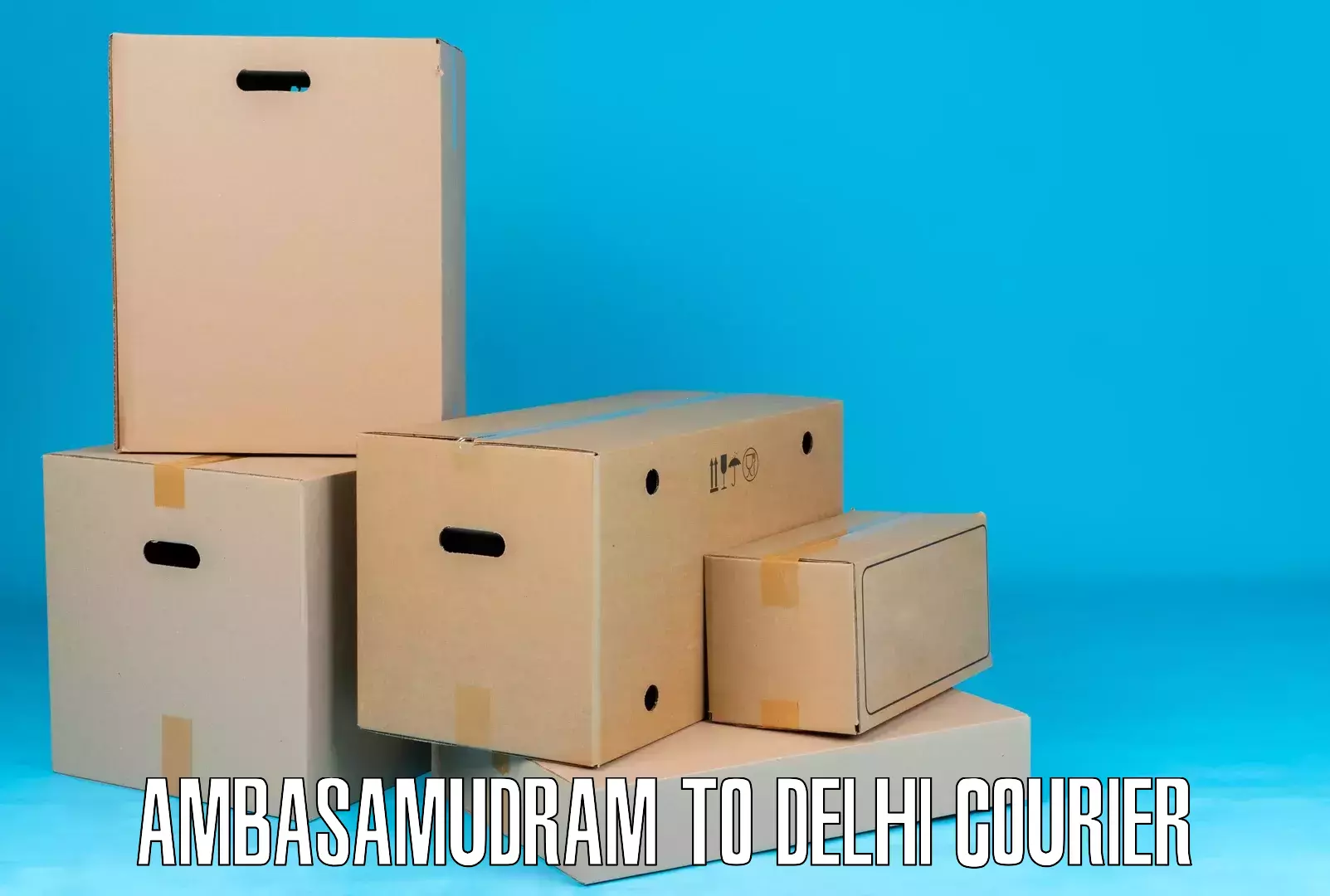 Cargo delivery service Ambasamudram to Jamia Hamdard New Delhi