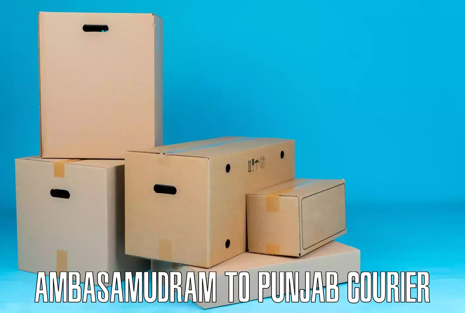 Cargo courier service Ambasamudram to Punjab