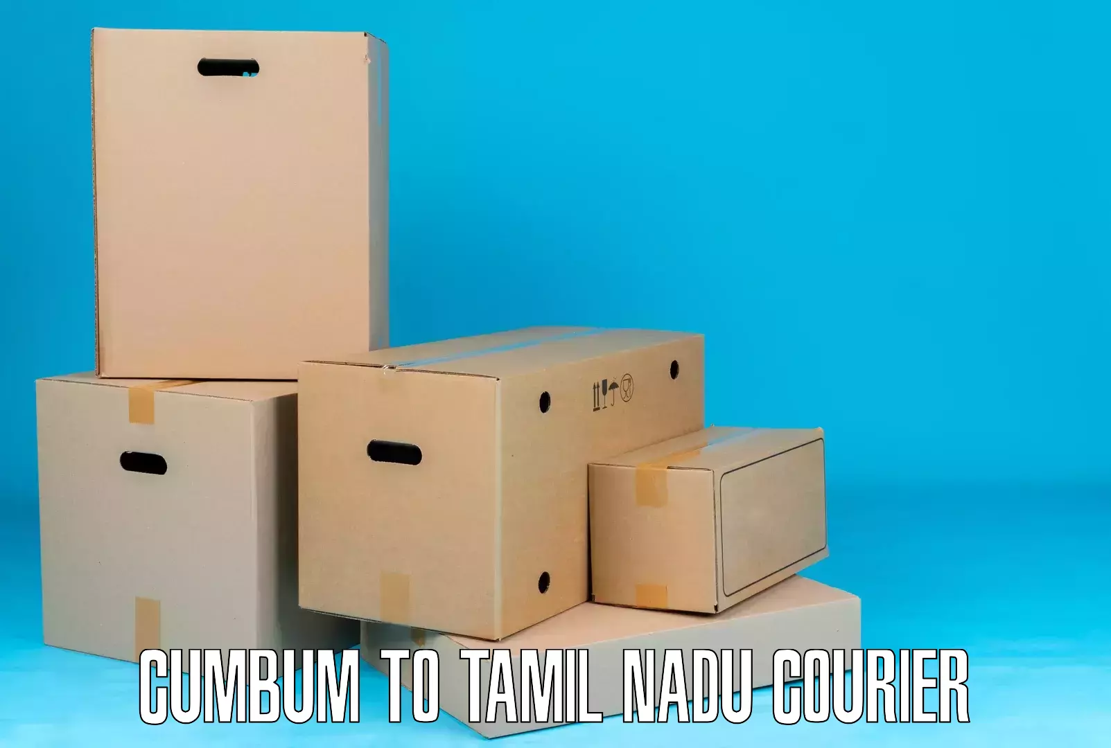 International courier networks Cumbum to Surandai