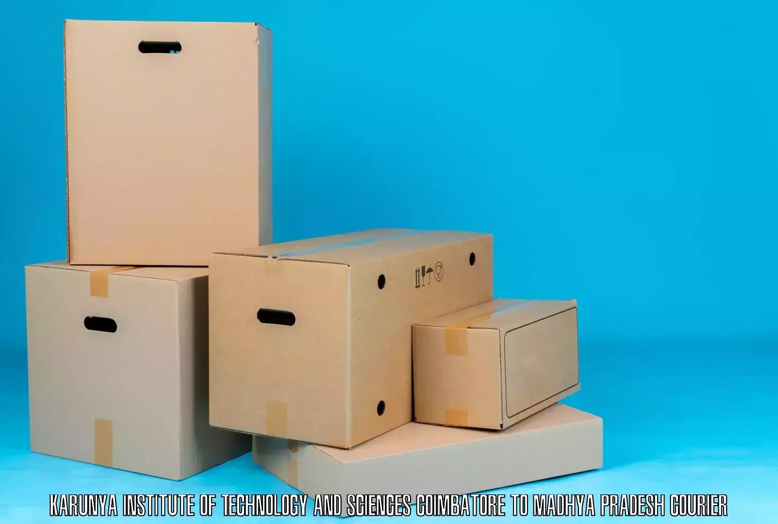 Efficient parcel delivery Karunya Institute of Technology and Sciences Coimbatore to Silwani