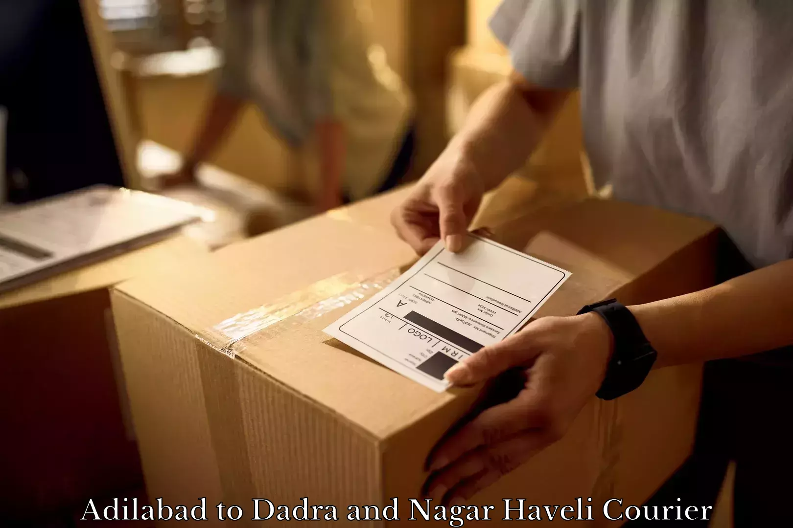 Household goods delivery Adilabad to Dadra and Nagar Haveli