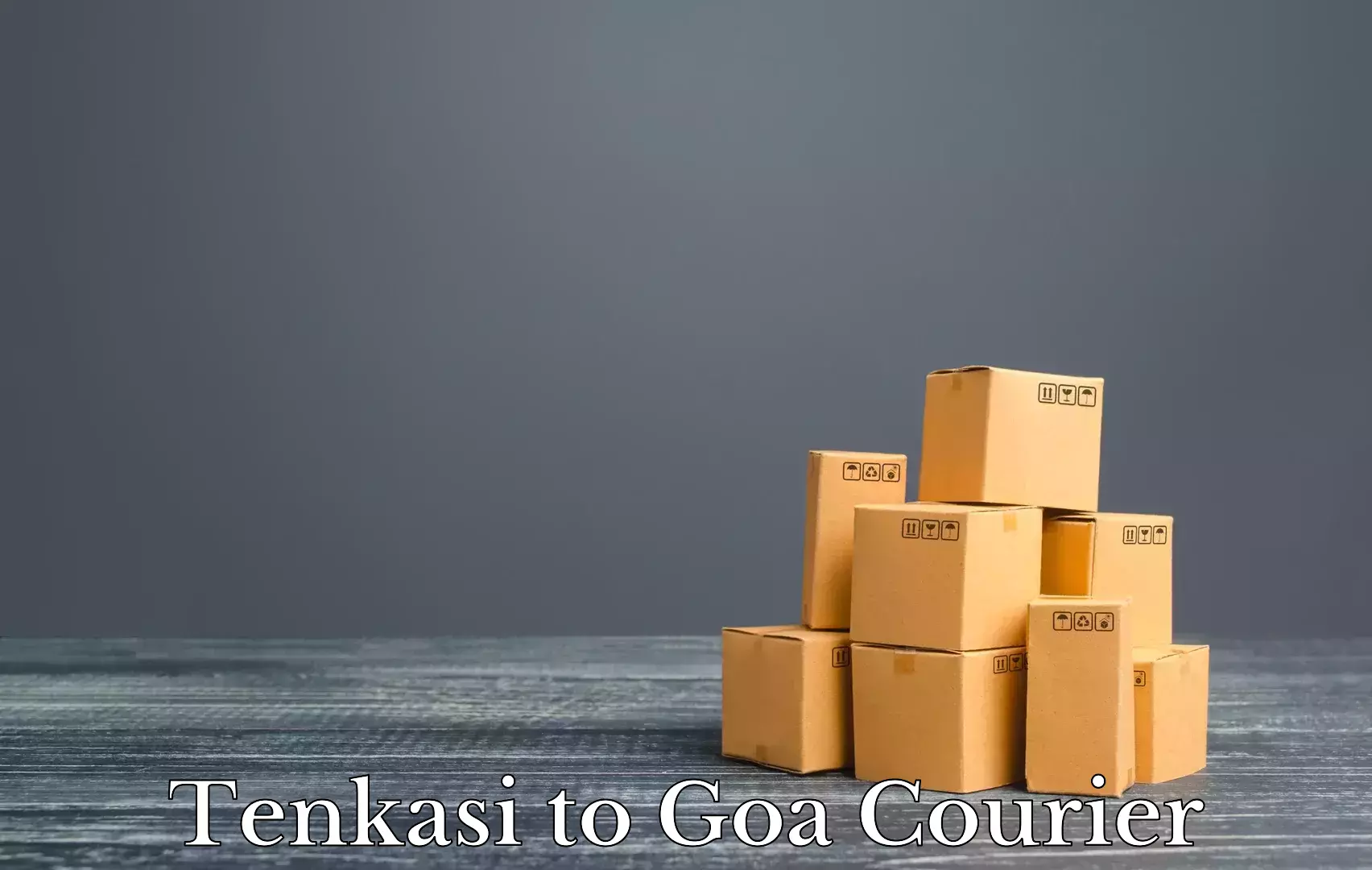 Reliable relocation services Tenkasi to Goa University