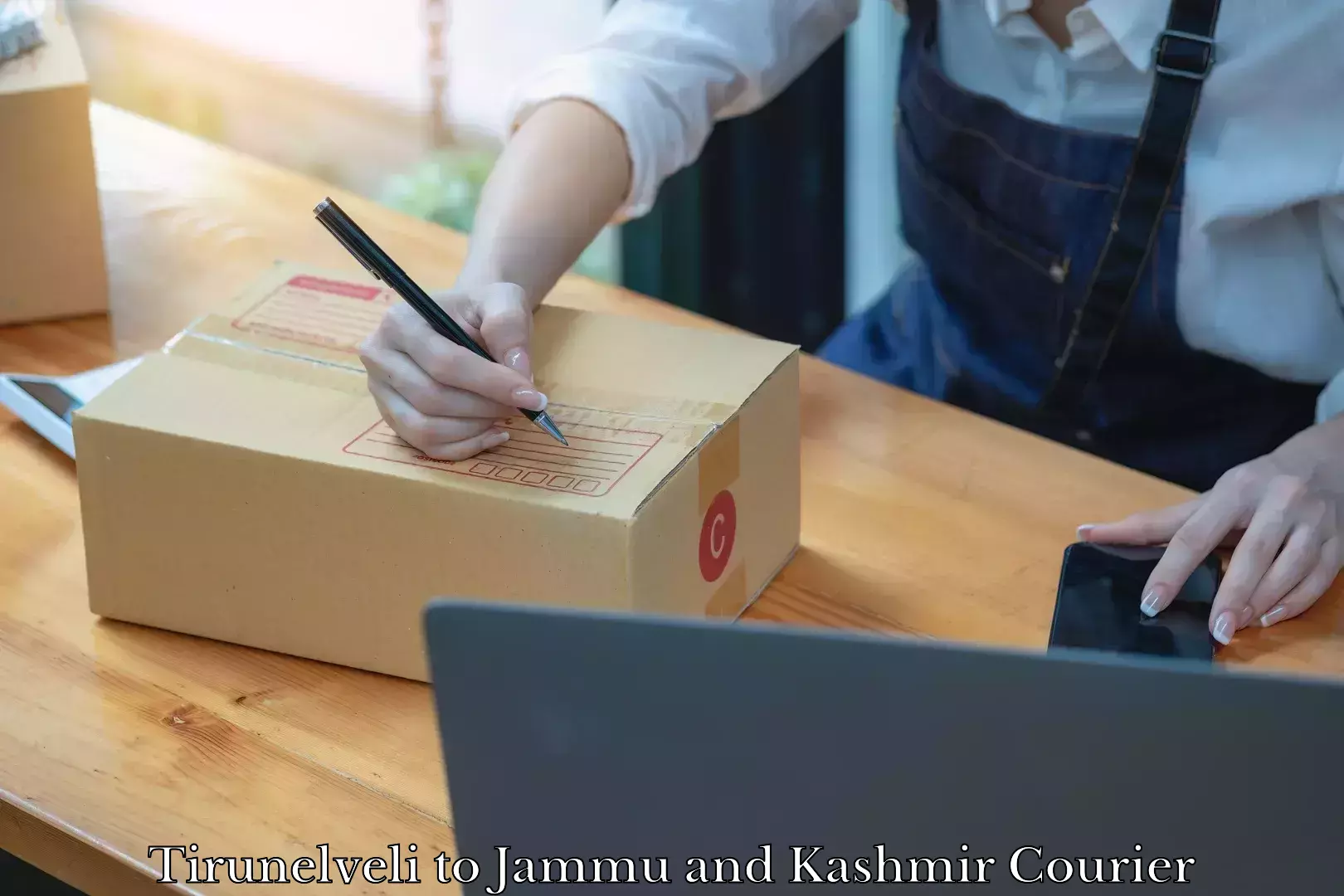 Expert furniture movers Tirunelveli to Jammu and Kashmir