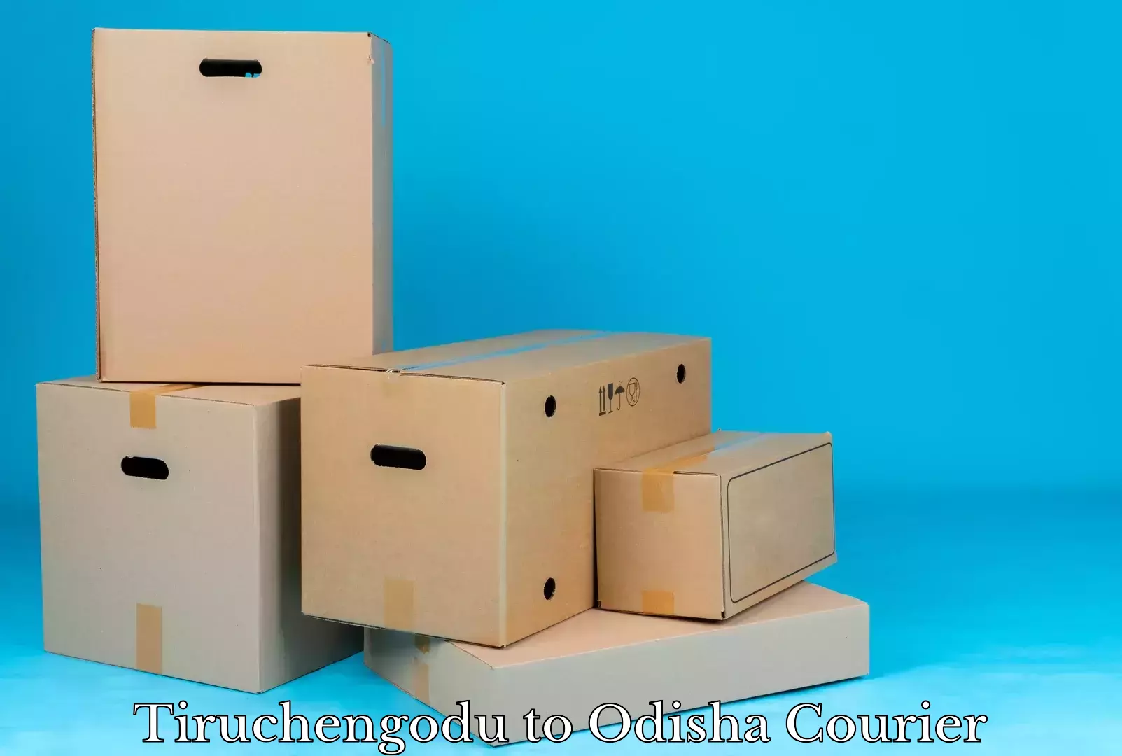 Efficient furniture shifting Tiruchengodu to Parlakhemundi