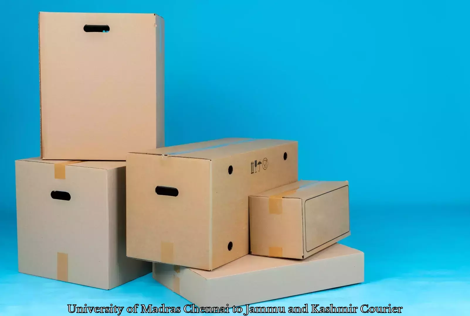 Personalized moving and storage in University of Madras Chennai to Poonch