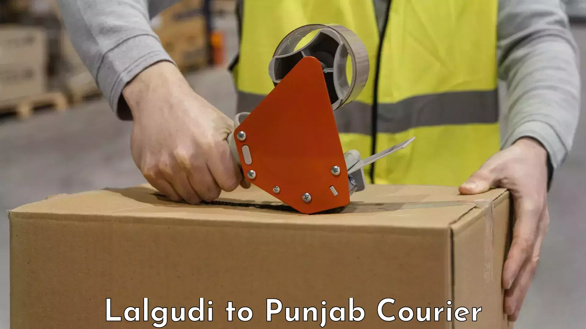 Affordable luggage courier Lalgudi to Patiala