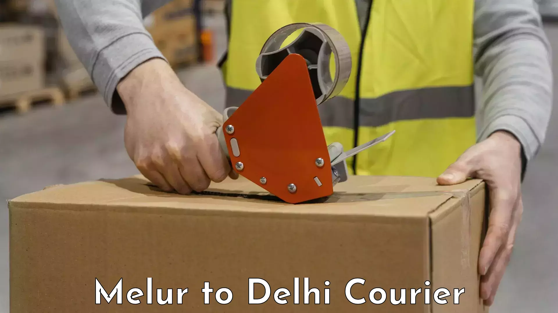 Luggage shipment tracking Melur to Delhi