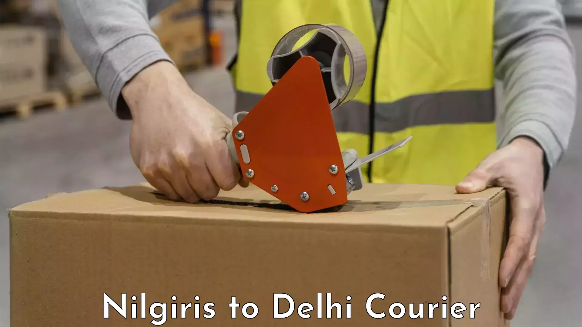 Baggage courier FAQs Nilgiris to NIT Delhi