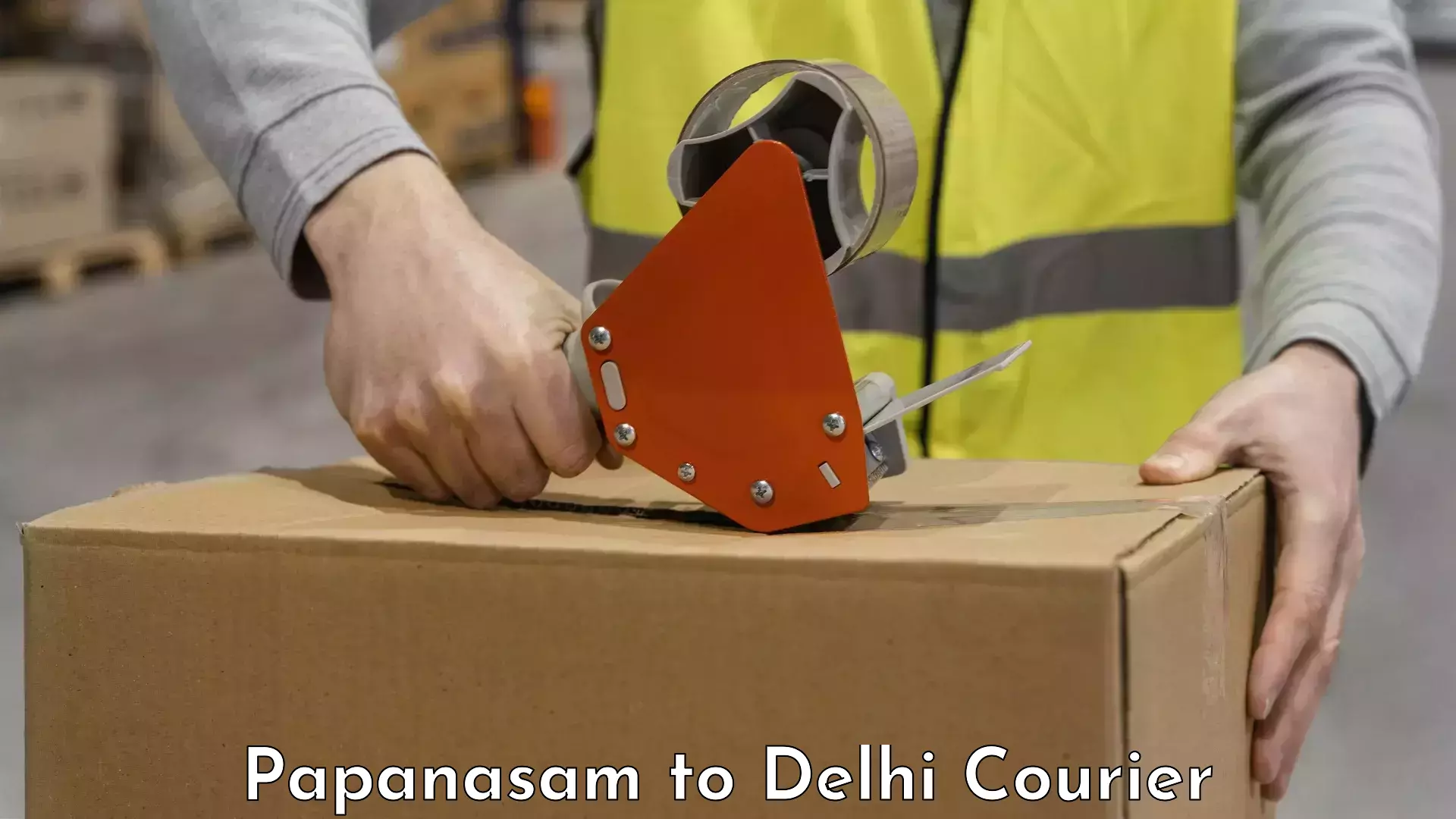 Affordable luggage shipping Papanasam to University of Delhi