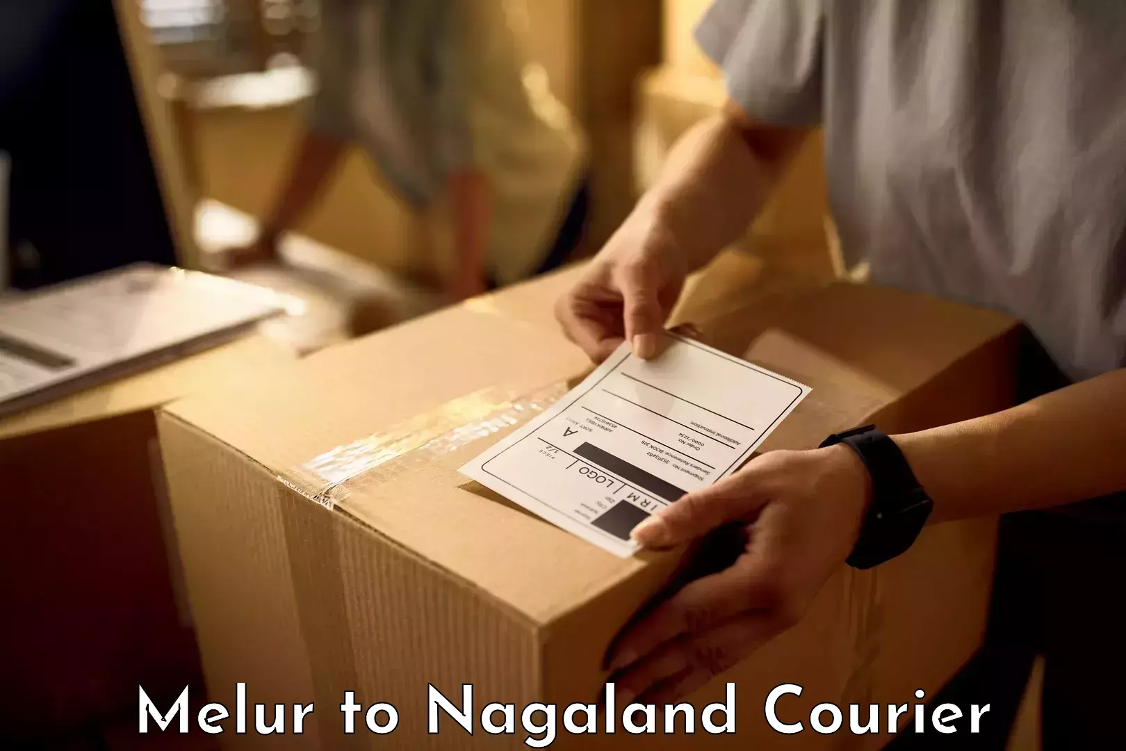 Personal baggage courier Melur to Nagaland
