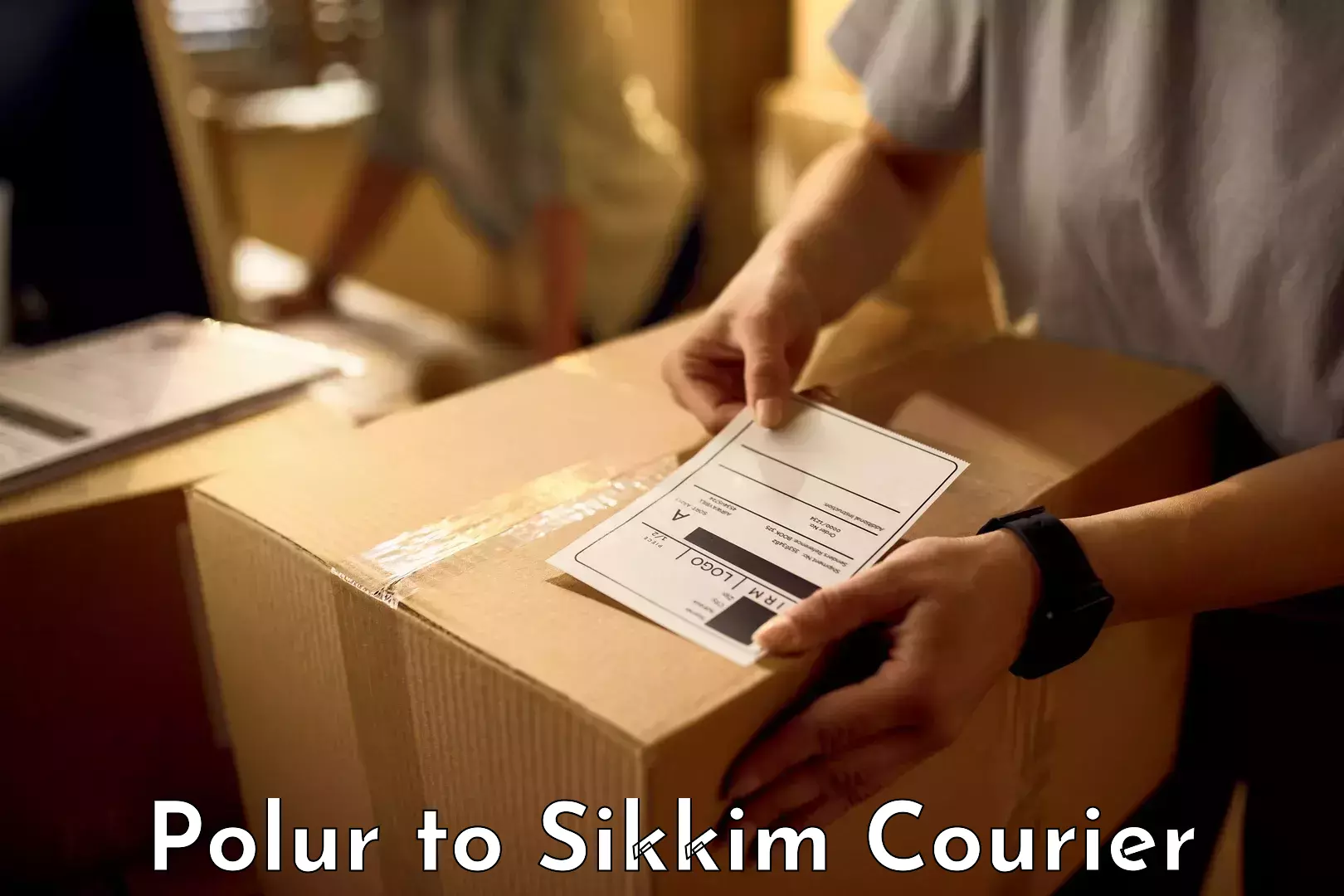 Versatile luggage courier in Polur to South Sikkim