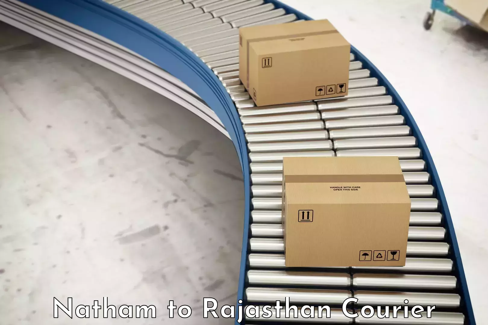 High-quality baggage shipment Natham to Rajasthan