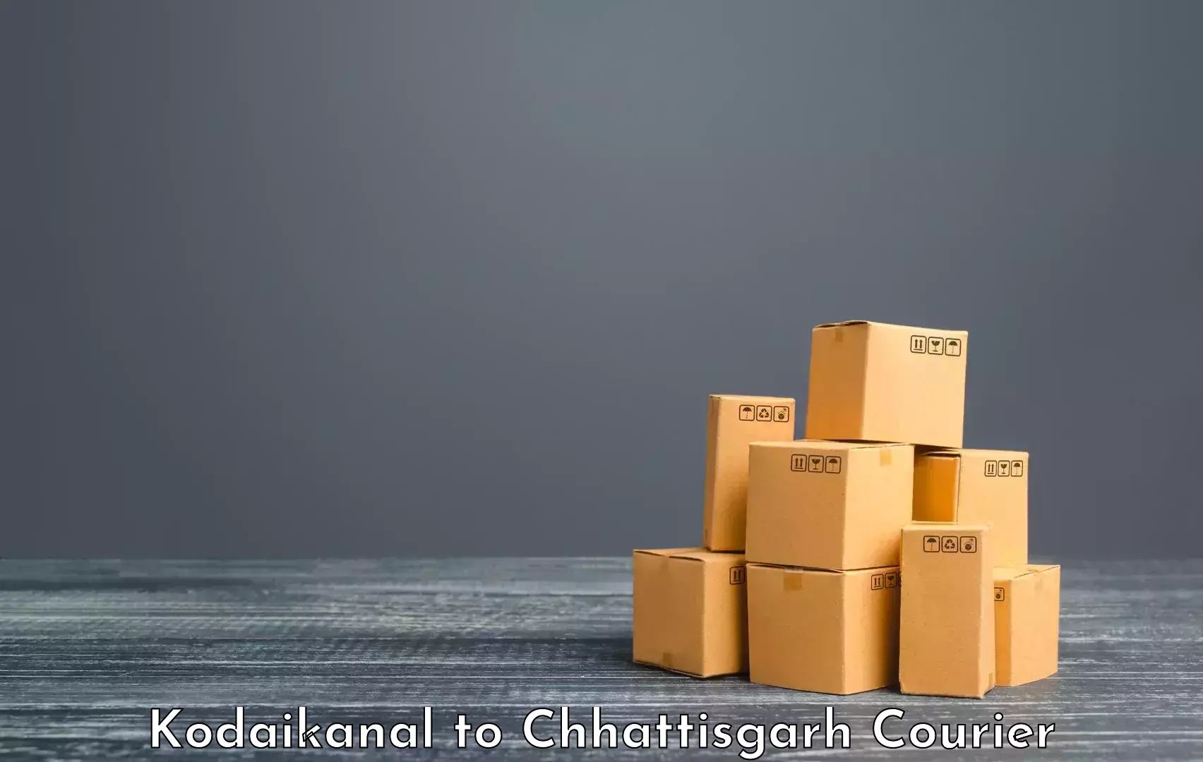 Luggage delivery system Kodaikanal to Chhattisgarh
