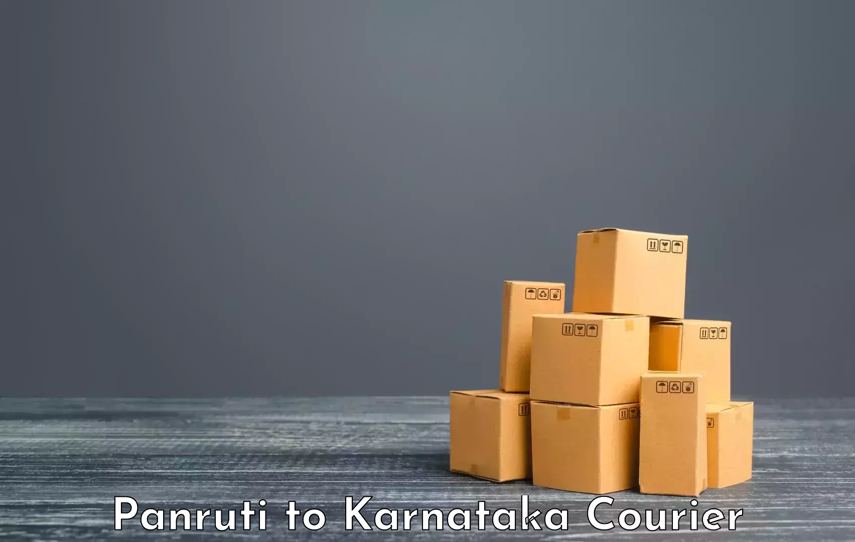 Suburban luggage delivery Panruti to Karnataka