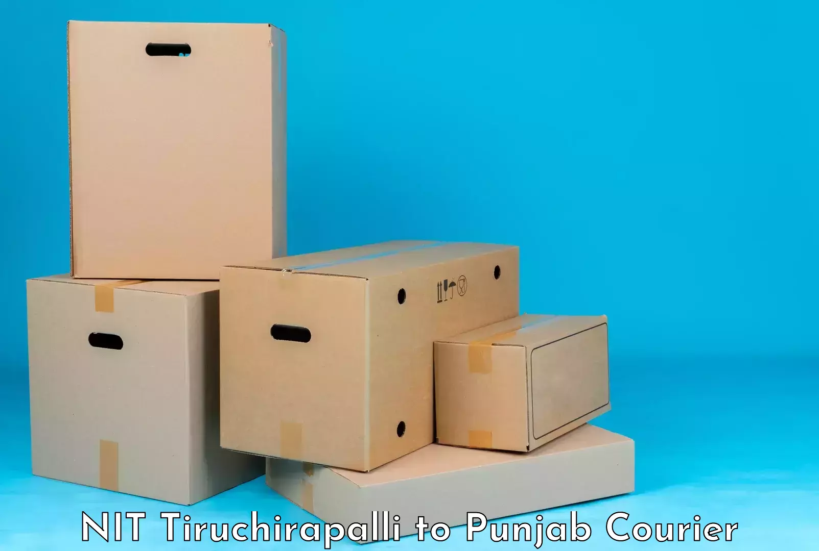 Baggage transport logistics NIT Tiruchirapalli to Punjab