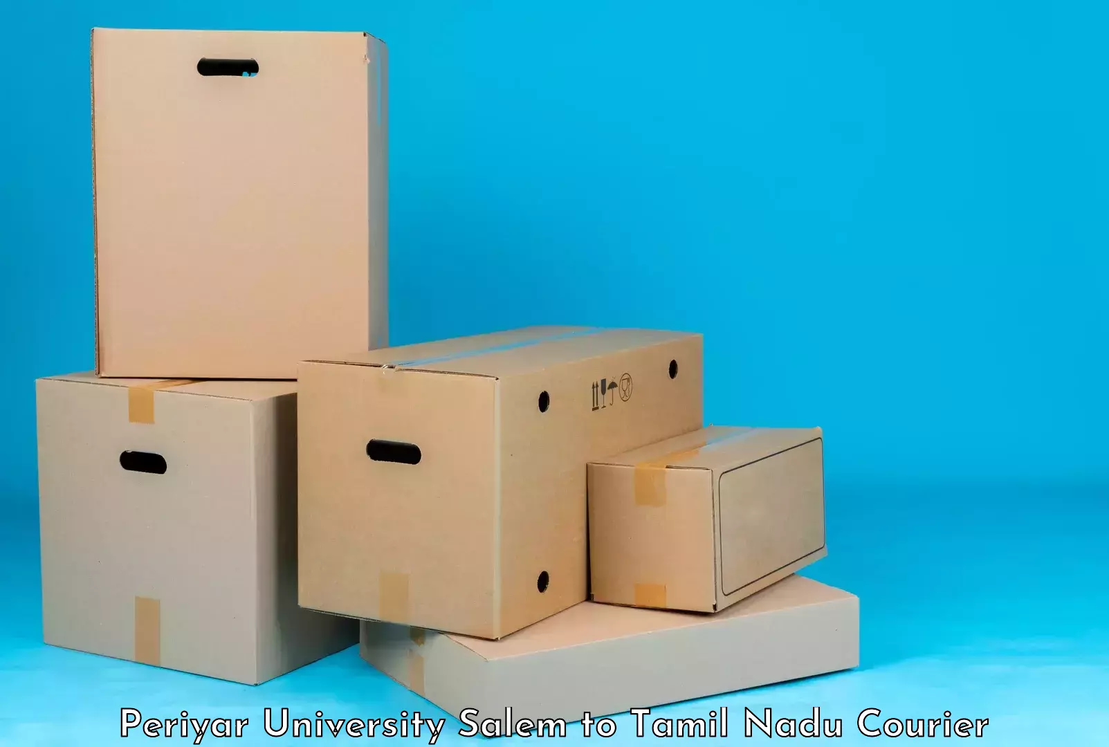 Single item baggage courier Periyar University Salem to Karunya Institute of Technology and Sciences Coimbatore