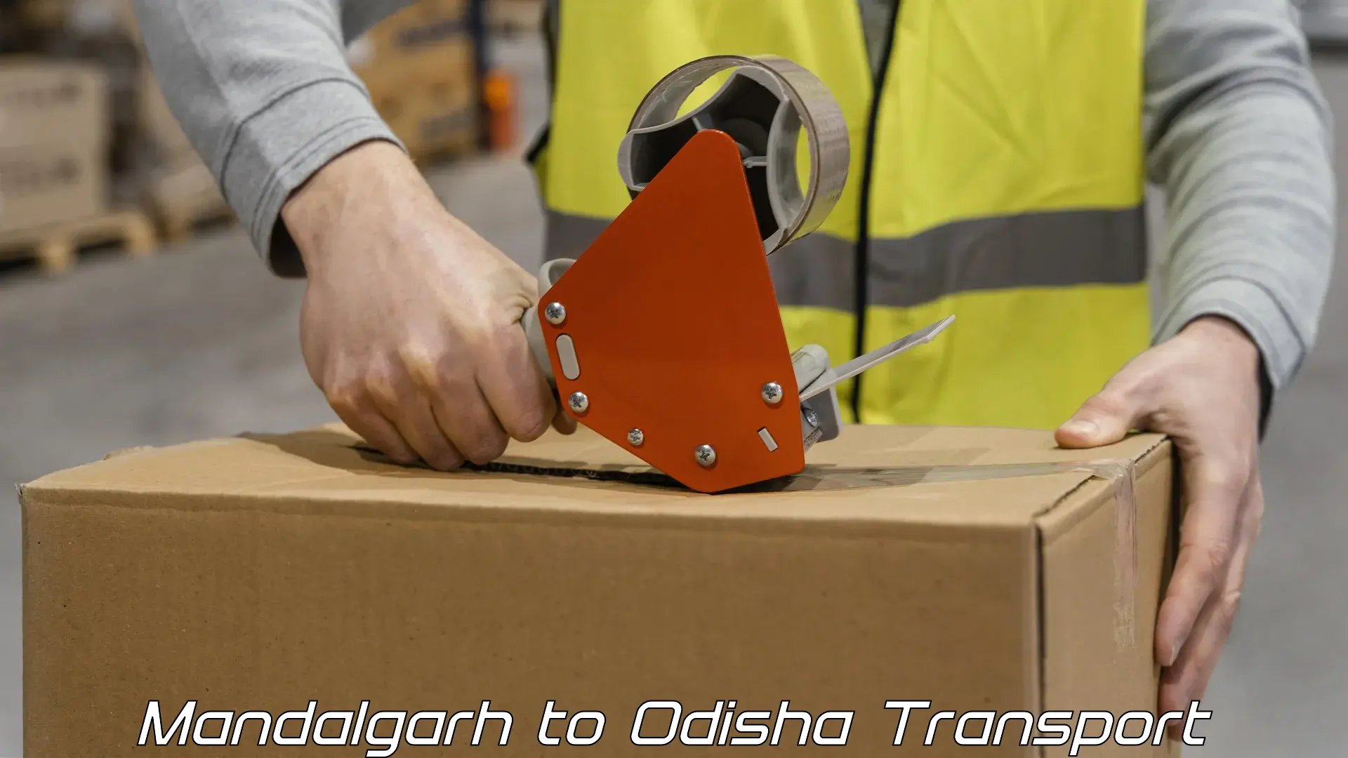 Luggage transport services Mandalgarh to Odisha
