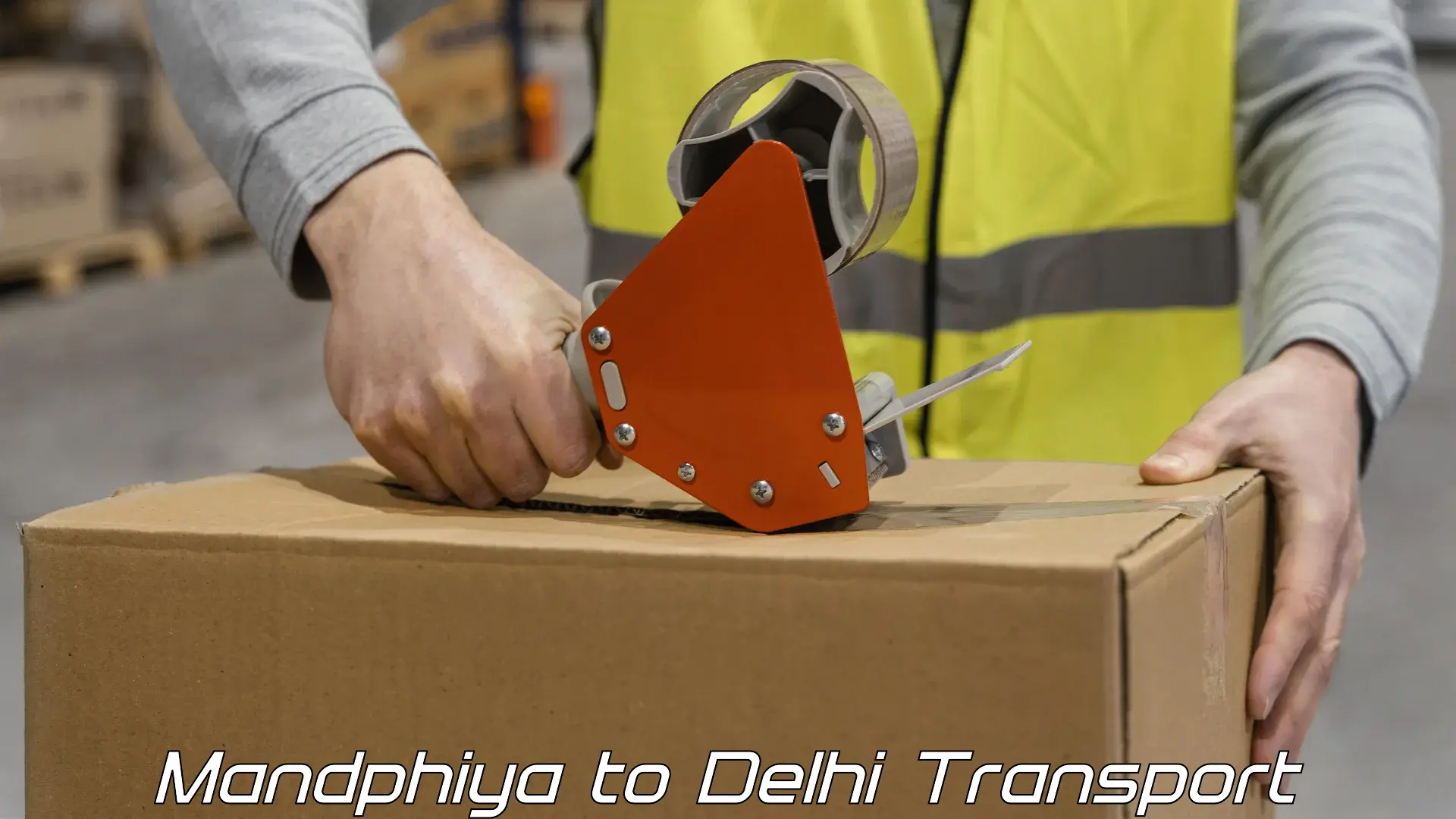 Daily parcel service transport Mandphiya to Delhi