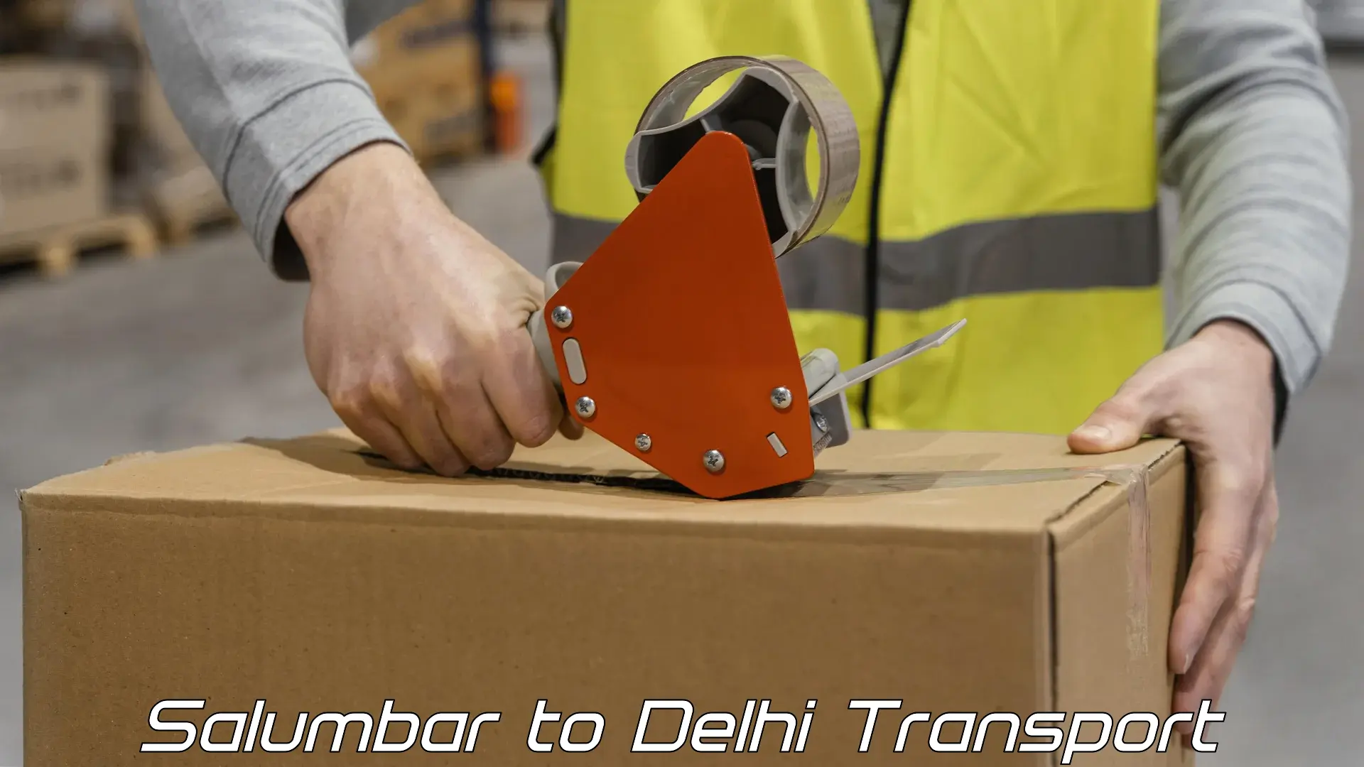 Goods transport services Salumbar to East Delhi