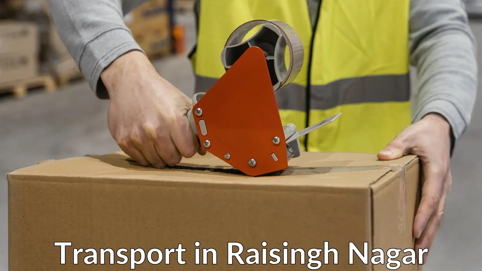 Intercity goods transport in Raisingh Nagar