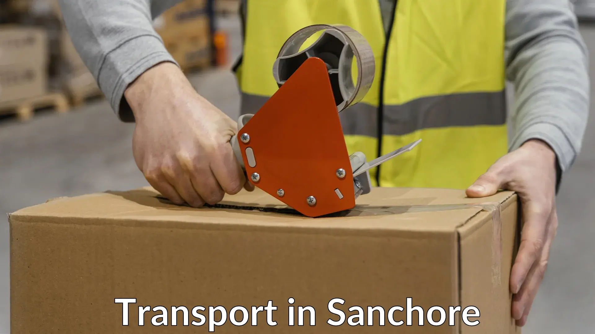 International cargo transportation services in Sanchore