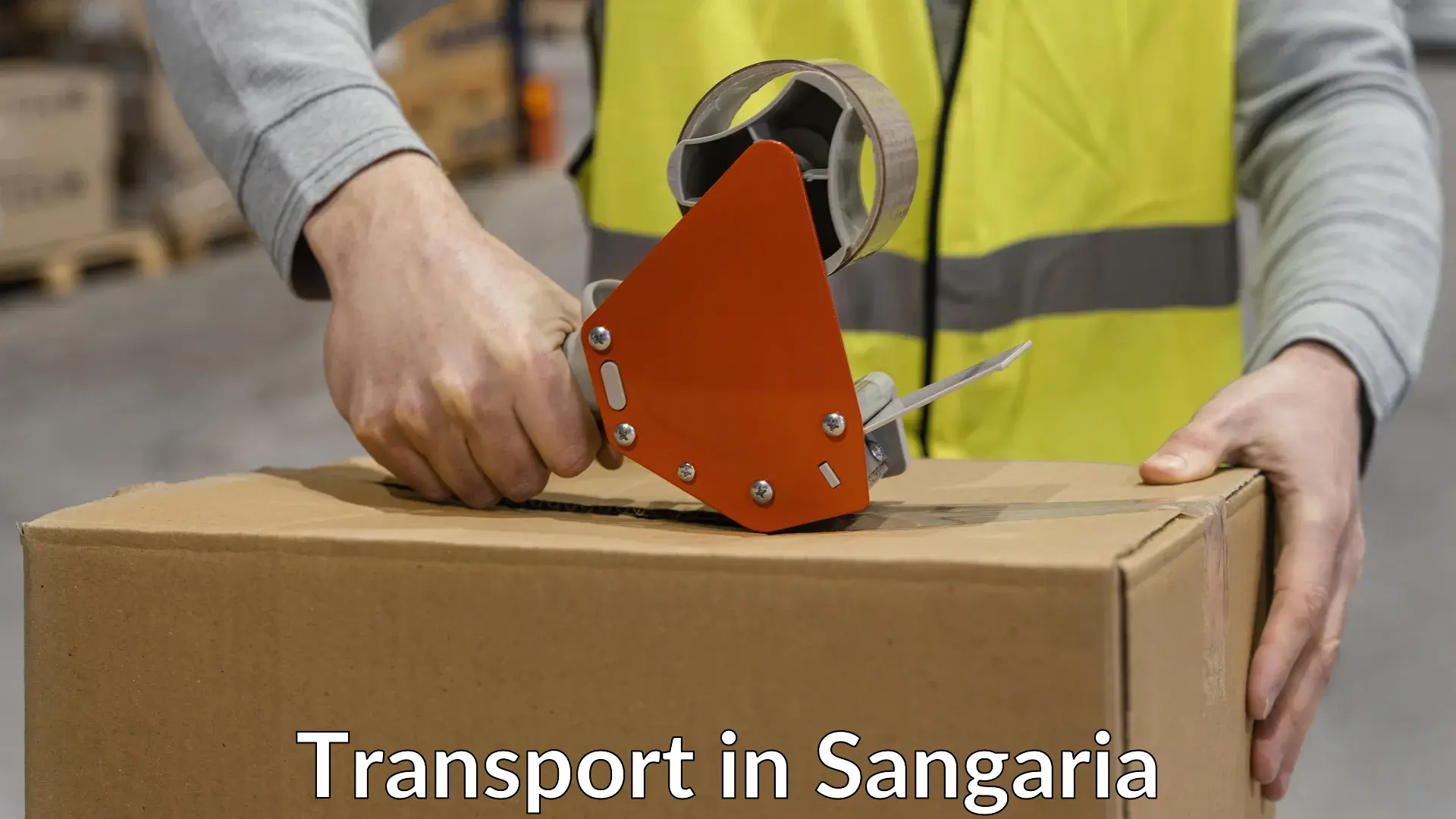 Air cargo transport services in Sangaria