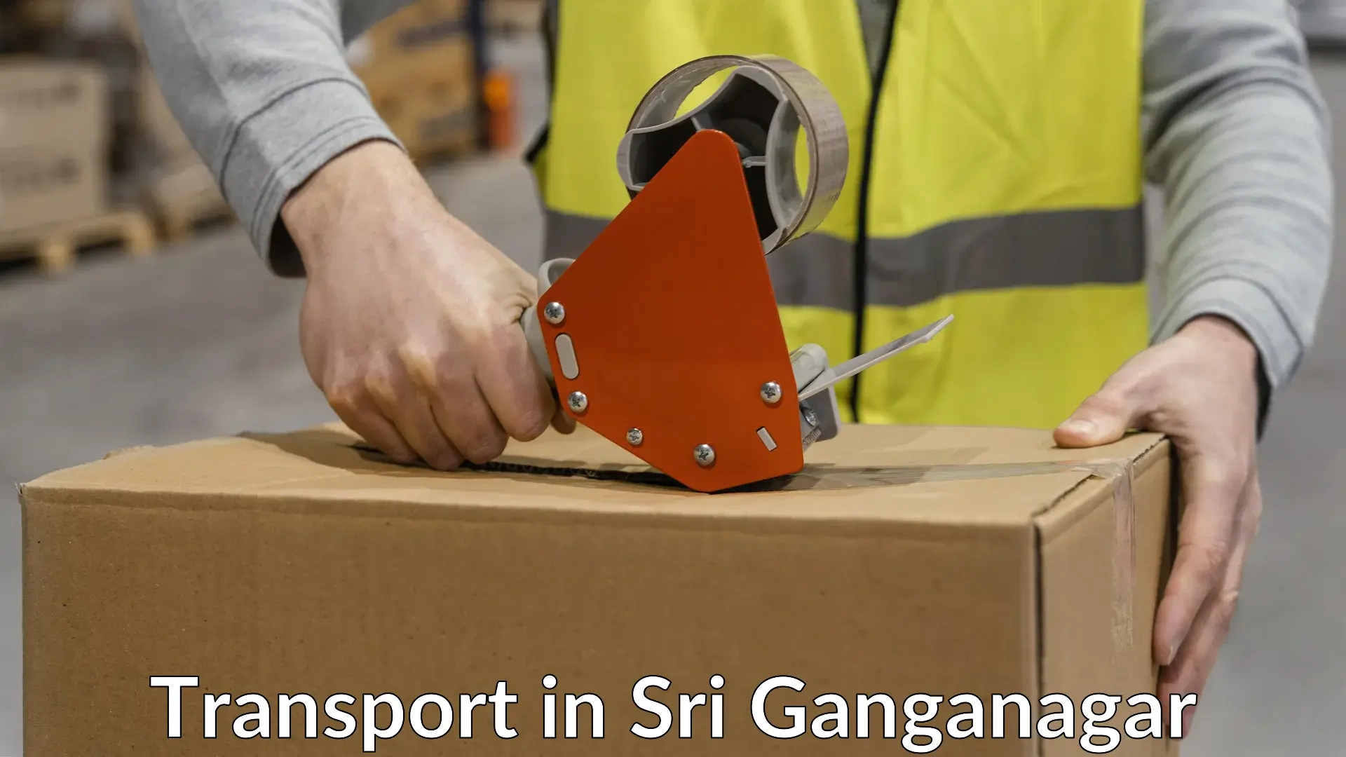 Cargo transport services in Sri Ganganagar
