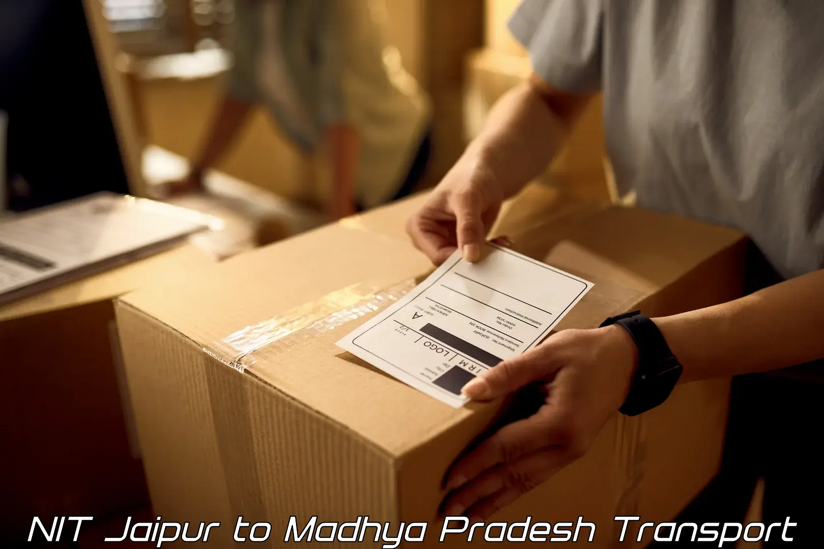 Delivery service NIT Jaipur to Mandideep