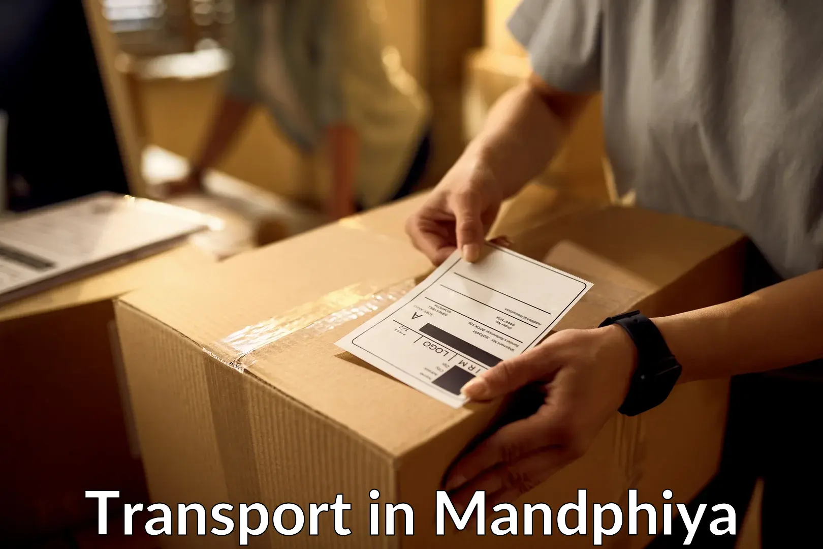 Truck transport companies in India in Mandphiya
