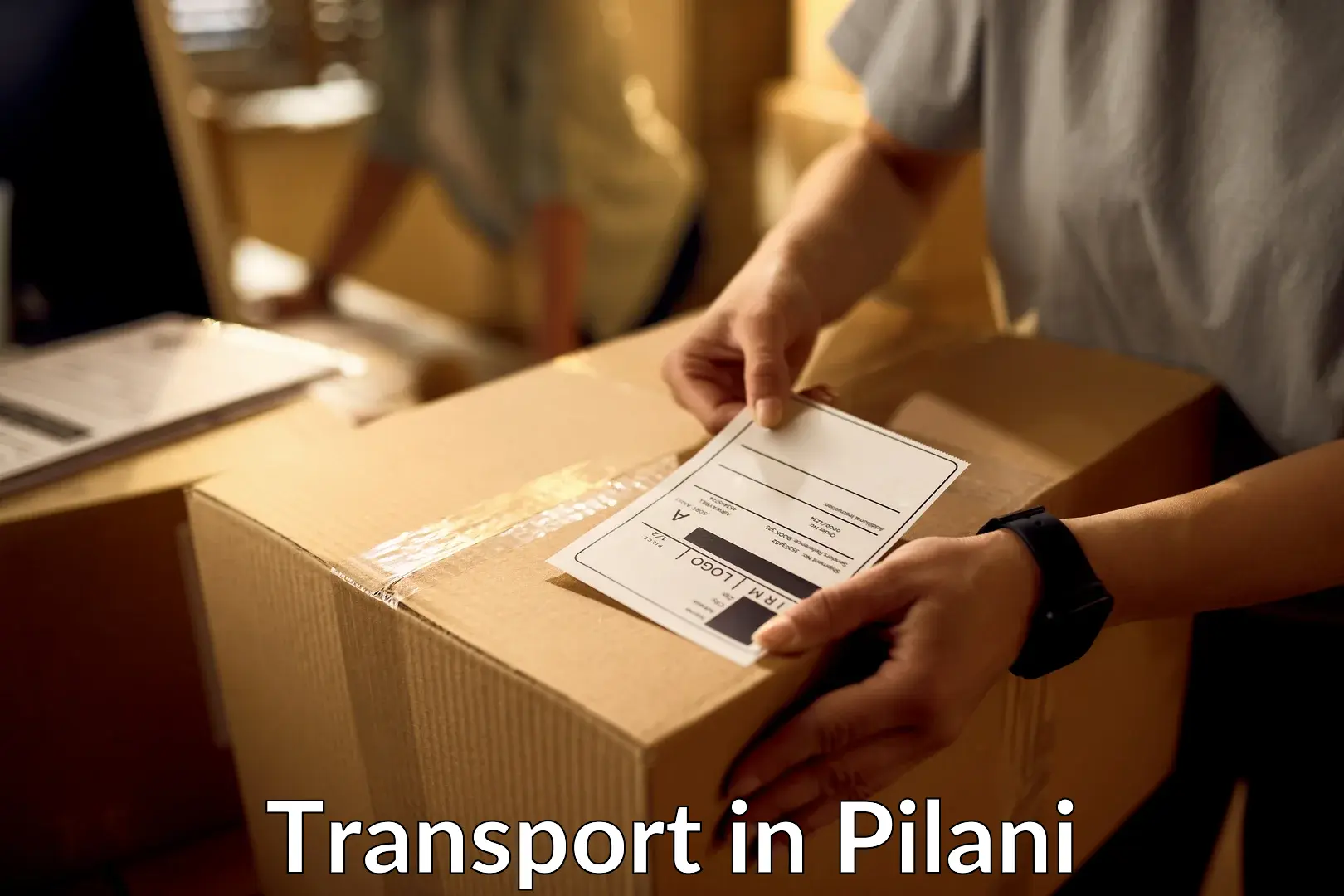 Cargo transportation services in Pilani
