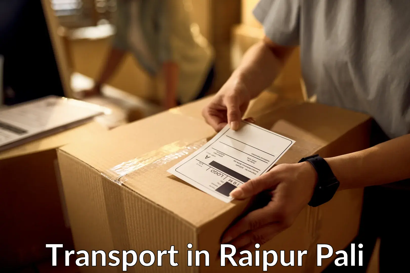Daily parcel service transport in Raipur Pali