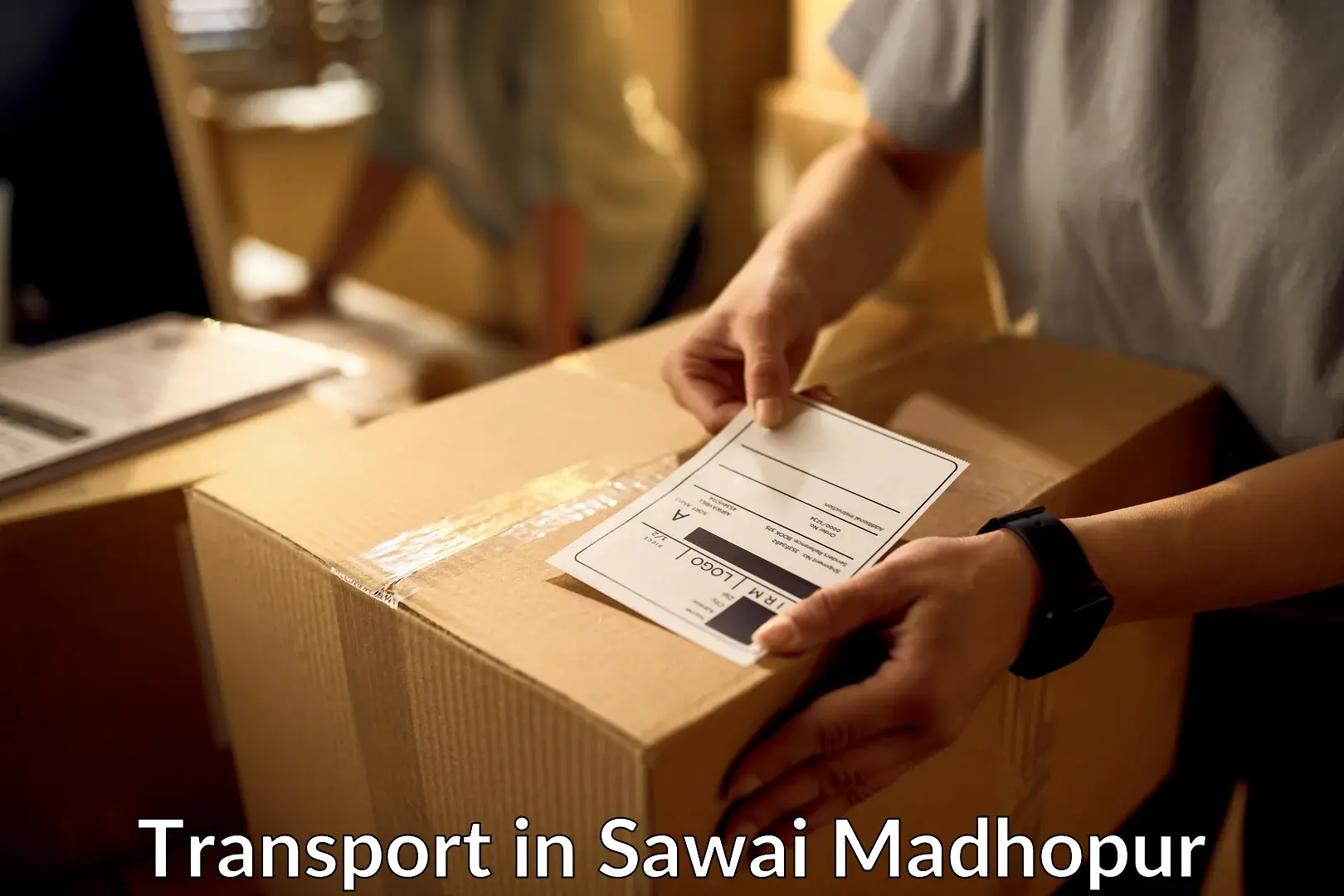 Vehicle courier services in Sawai Madhopur