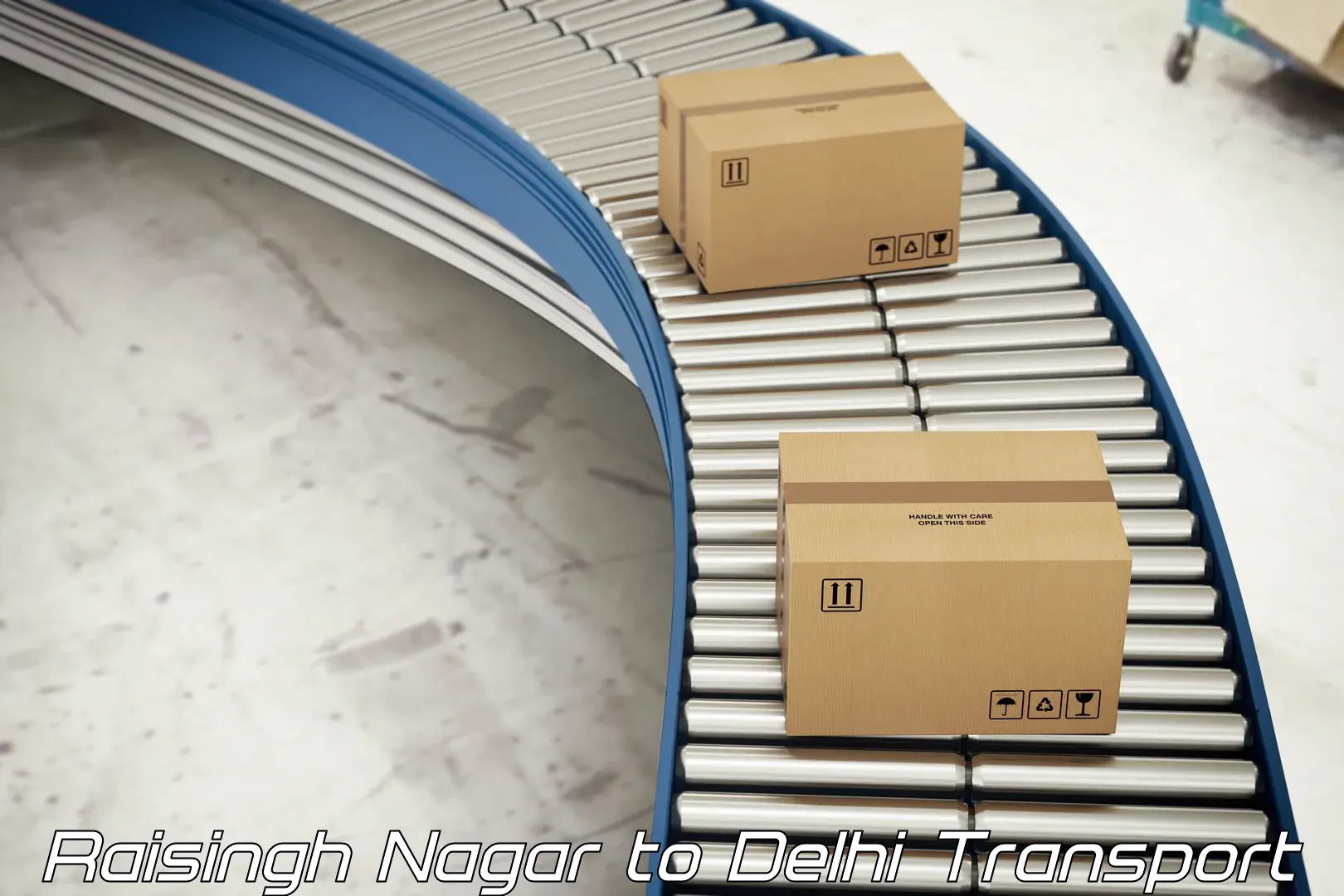 Cargo transport services Raisingh Nagar to Krishna Nagar