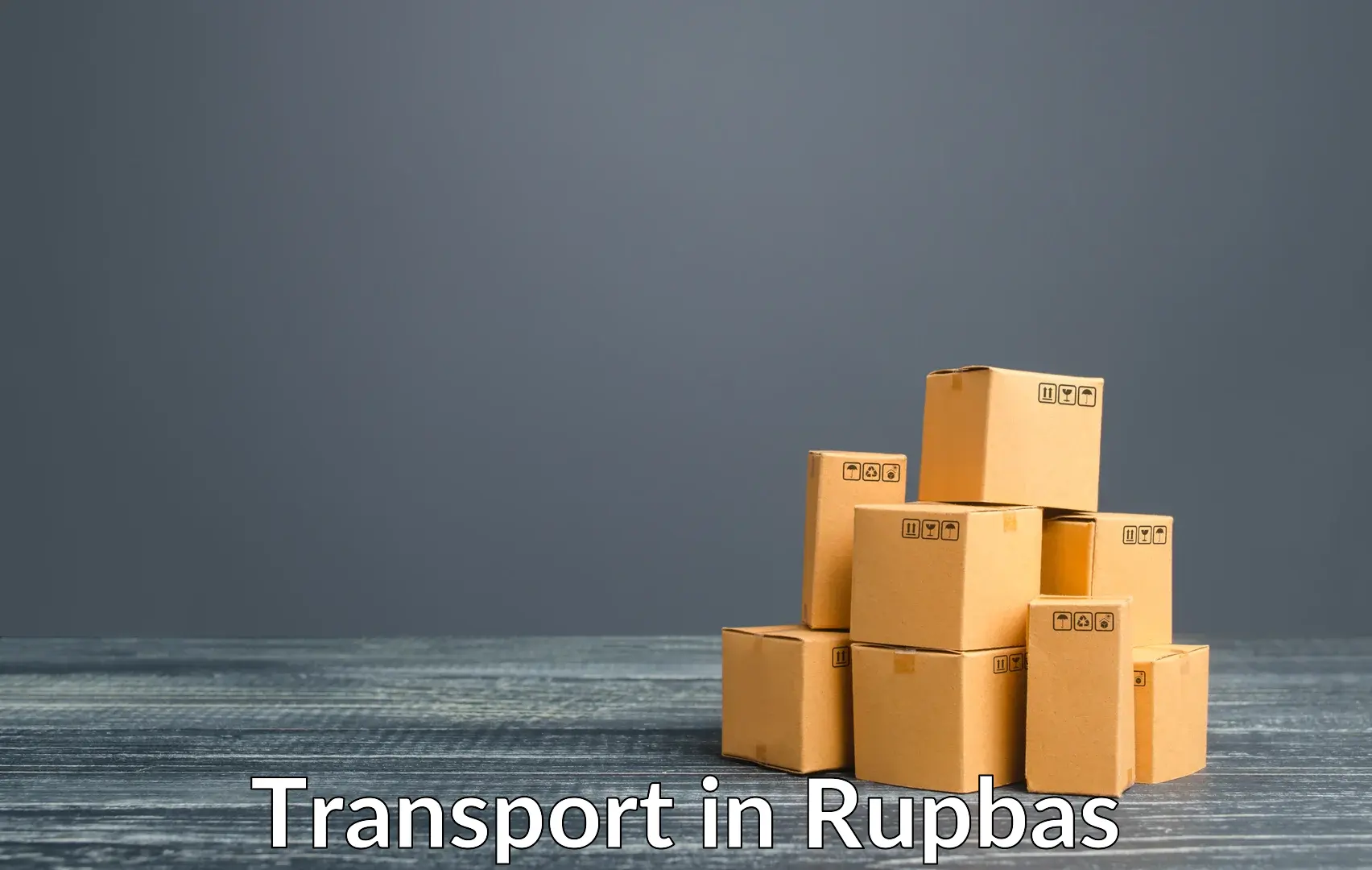 Air cargo transport services in Rupbas