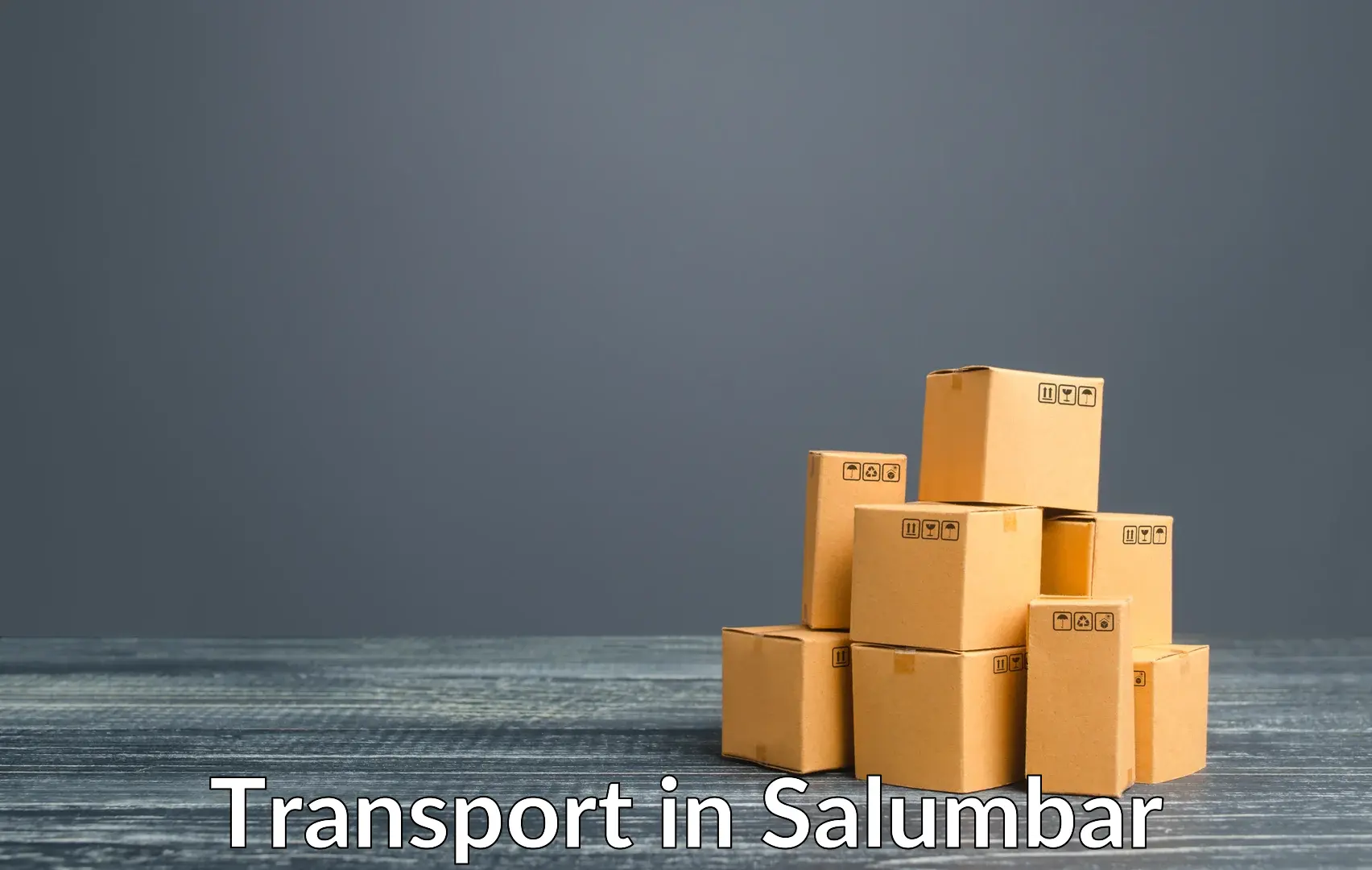 Cargo transportation services in Salumbar