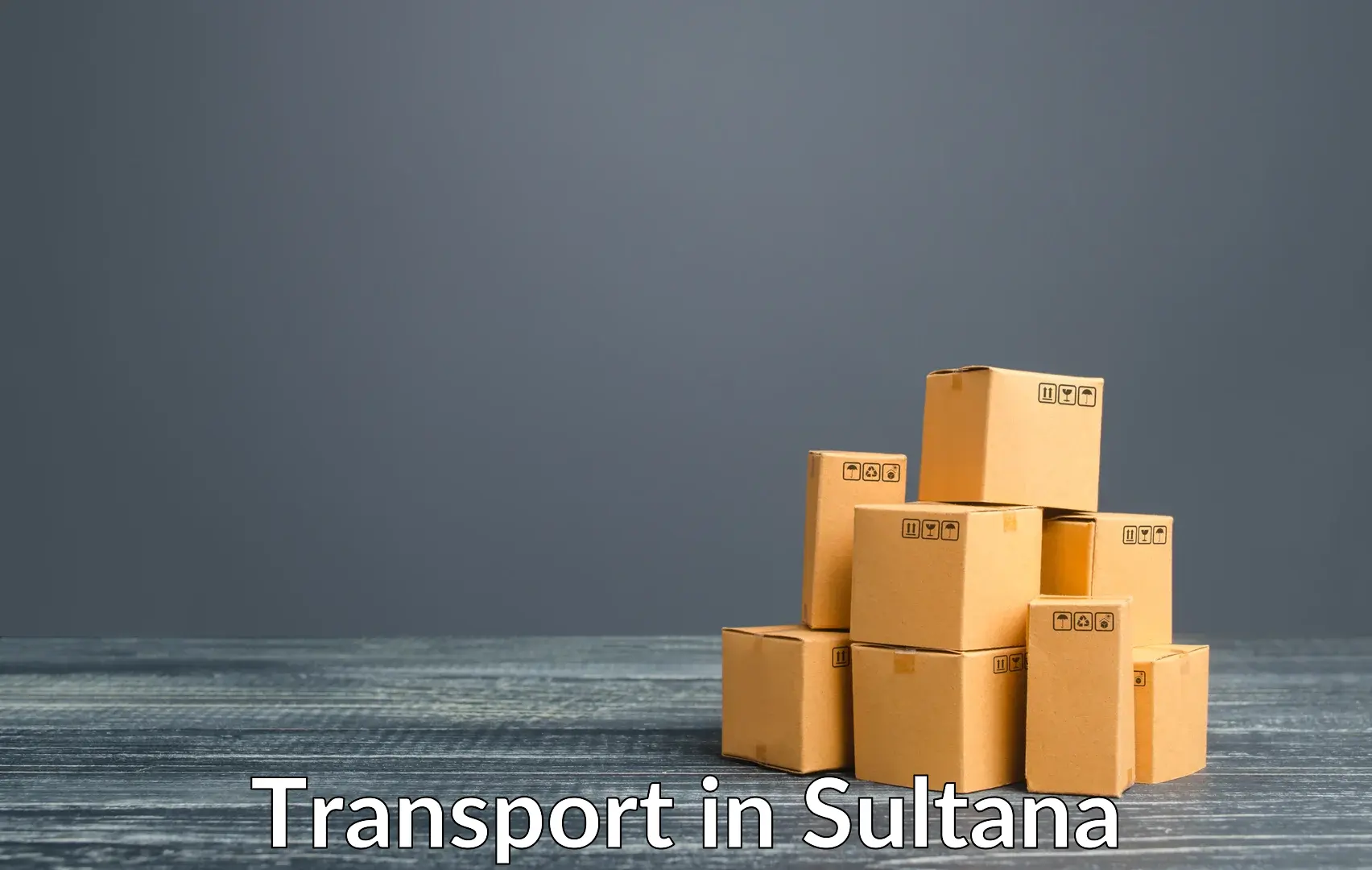 Container transport service in Sultana