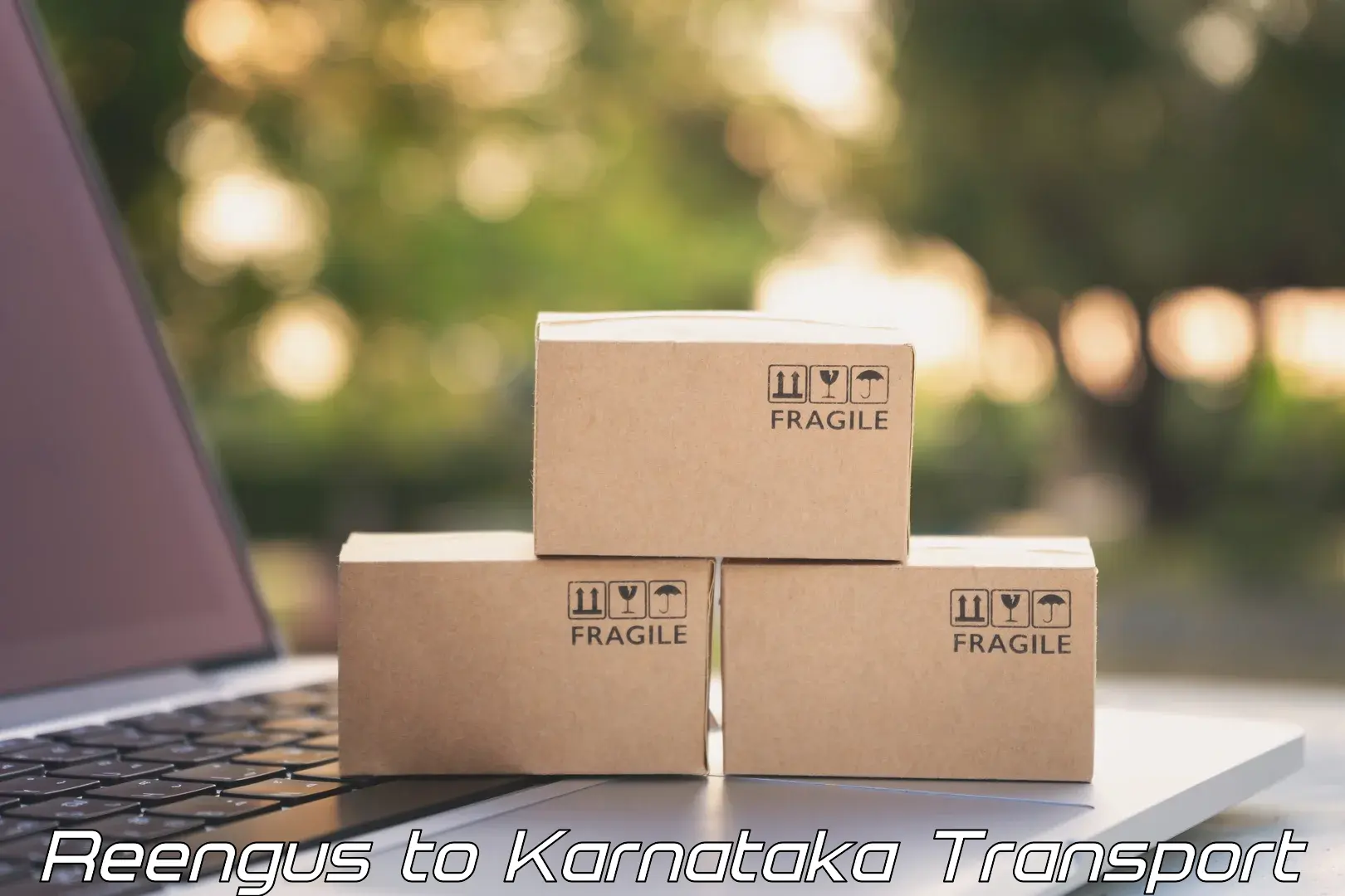 Luggage transport services Reengus to Karnataka
